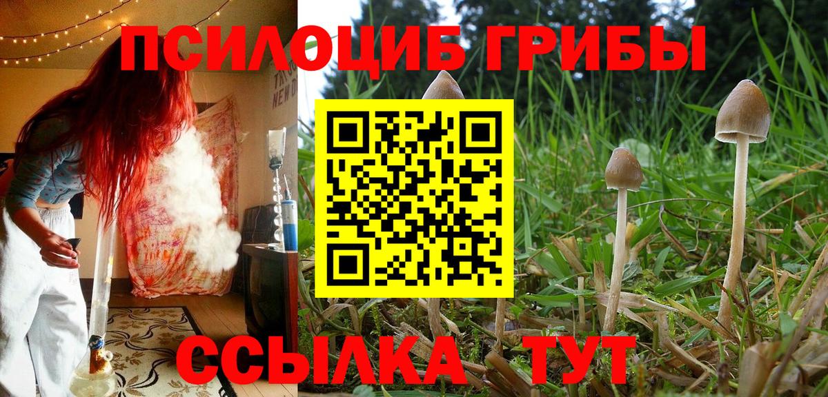 Галлюциногенные грибы GOLDEN TEACHER  Вход с VPN  Вязники 
