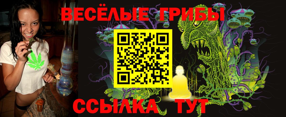 Псилоцибиновые грибы Cubensis Вязники
